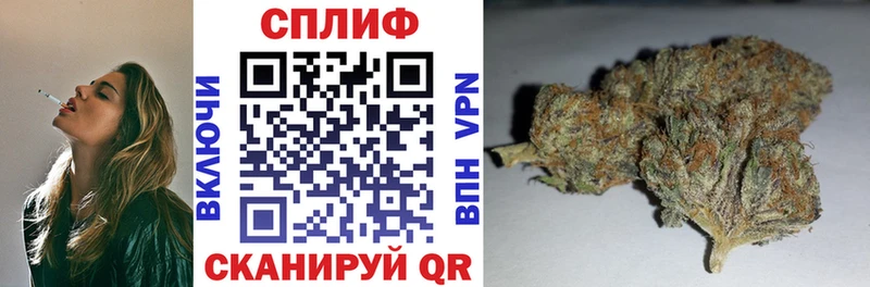 Что такое Ярославль блэк спрут ссылки Бошки Шишки Меф мяу мяу ГАШ