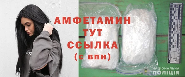 стаф Богданович