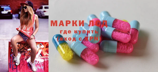 стаф Богданович