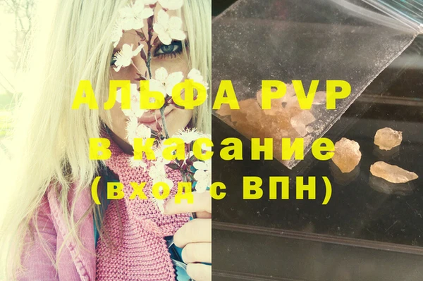 стаф Богданович