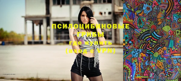 ГАЛЛЮЦИНОГЕННЫЕ ГРИБЫ Богородицк