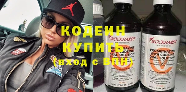 стаф Богданович
