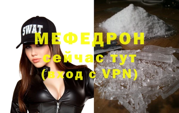 стаф Богданович