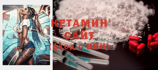 стаф Богданович