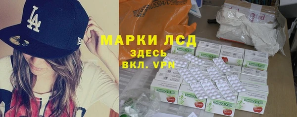 стаф Богданович