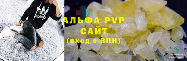 стаф Богданович