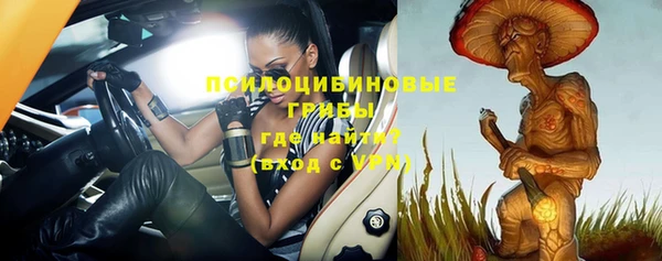 PSILOCYBIN Богородск